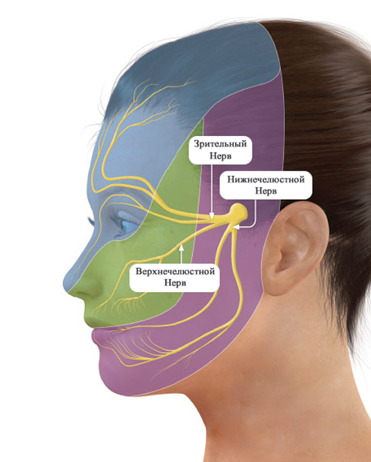 Массаж при неврите лицевого нерва